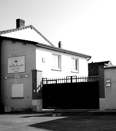 Coquillette Stephane, Vignoble à Chouilly