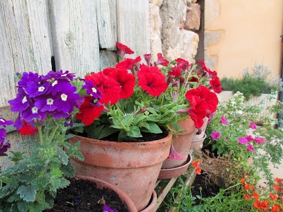 DOMAINE DE SAINT CELS, Vignoble à Saint-Chinian