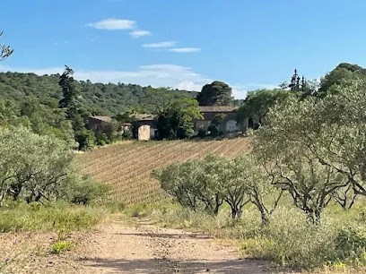 Château De Gragnos, Vignoble à Saint-Chinian