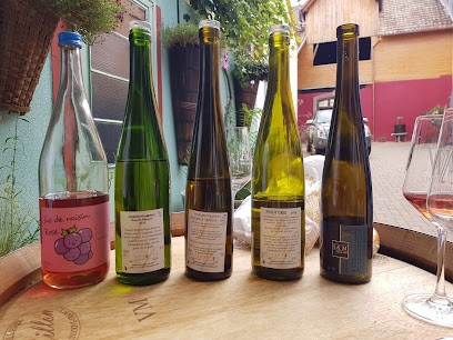 Schoepfer-Muller, Vignoble à Wettolsheim