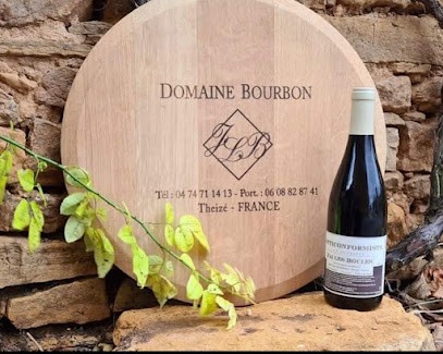 Domaine Bourbon, Vignoble à Theizé