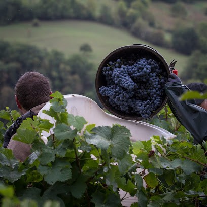 Domaine Croizat, Vignoble à Salles-la-Source