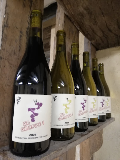 Ça Grappe ! Vignoble à Saint-Antoine-de-Breuilh