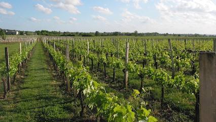 Château Roland La Garde - Vignoble En Biodynamie, Vignoble à Saint-Seurin-de-Cursac