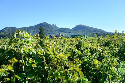 Domaine Les Cardélines - Guintrand Frédéric, Vignoble à Vacqueyras