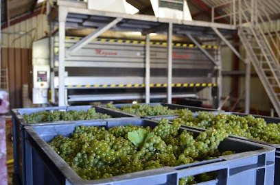 Champagne Guyot, Vignoble à Fontaine-Denis-Nuisy