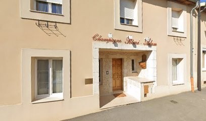 Adam Rémi, Vignoble à Berru