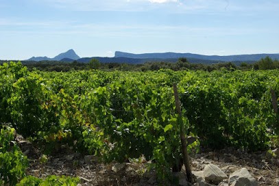 Domaine de Sigaliere, Vignoble à Carnas