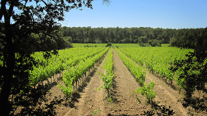 Domaine Du Deves Vignoble à Noves