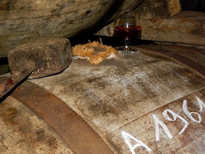 Domaine Jean de Montrejeau, Domaine viticole (Armagnacs, flocs & vins), Vignoble à Montréal