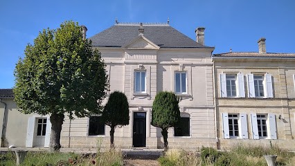 Château Haut-Maine, Vignoble à Saint-Christoly-de-Blaye