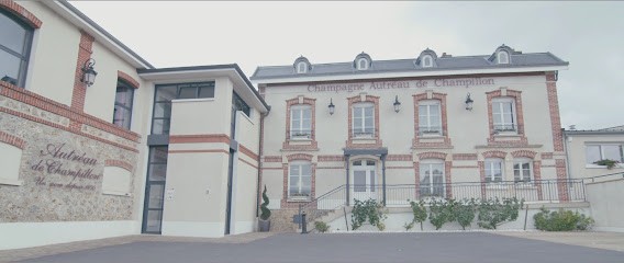 Autréau Champagne Champillon, Vignoble à Champillon