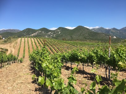 Orenga de Gaffory, Vignoble à Patrimonio