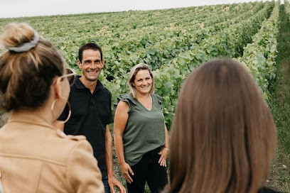 Champagne Guyot-Guillaume, Vignoble à Méry-Prémecy