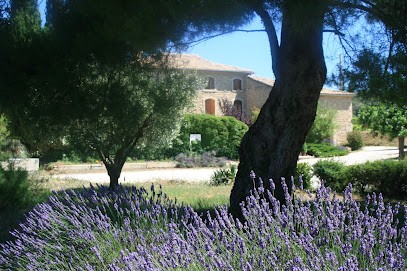 Clos Du Père Clément, Vignoble à Visan