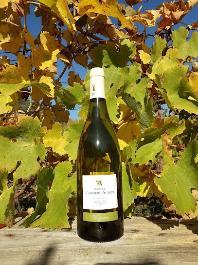 Domaine Carrière Audier, Vignoble à Vieussan