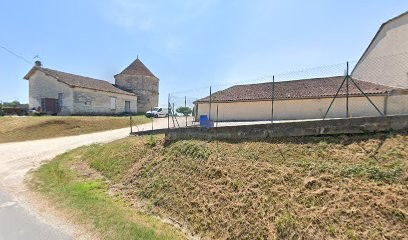Château Tour De Bellegarde, Vignoble à Villegouge