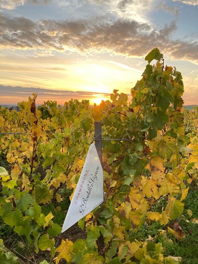 Champagne Boutillez Vignon, Vignoble à Villers-Marmery