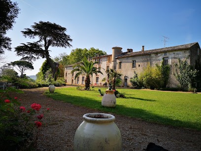 Château De Gaure, Vignoble à Rouffiac-d'Aude