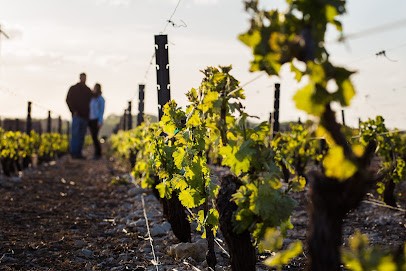 Maison Lispaul, Domaine De Fontenille, Vignoble à Tracy-sur-Loire
