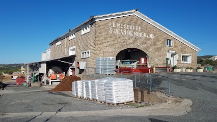 Cave Coopérative SCA Le Muscat, Vignoble à Saint-Jean-de-Minervois