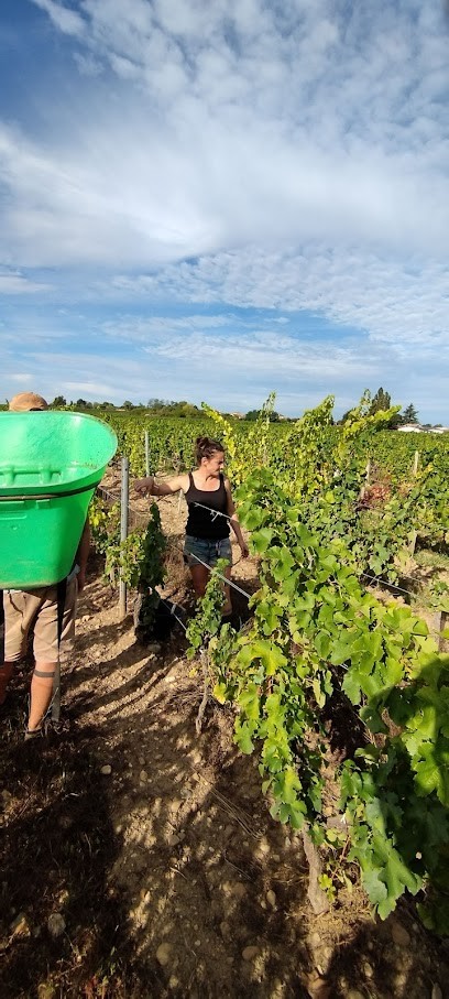 Château Grand Bos, Vignoble à Castres-Gironde