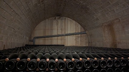 Champion Roland, Vignoble à Chouilly