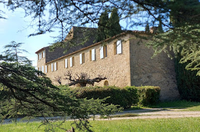 Château Saint-Pierre De Mejans, Vignoble à Puyvert