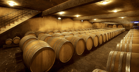 Domaine Gitton Vignoble à Ménétréol-sous-Sancerre