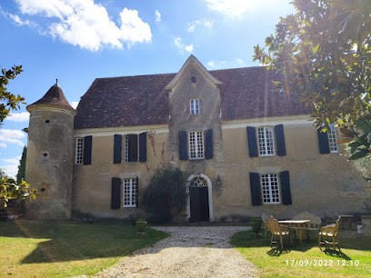 Chateau de Cabidos - 64410, Vignoble à Cabidos