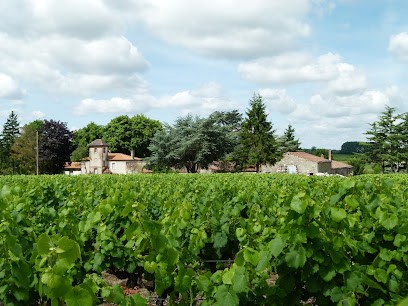 Domaine Chéreau Carré, Vignoble à Saint-Fiacre-sur-Maine