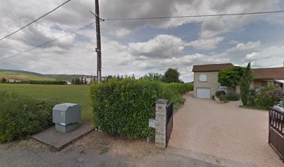 Gaguin Rene, Vignoble à Verzé