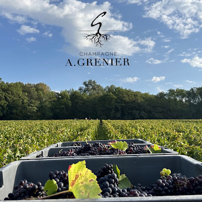 Champagne Alexis Grenier Vignoble à Nogent-l'Artaud