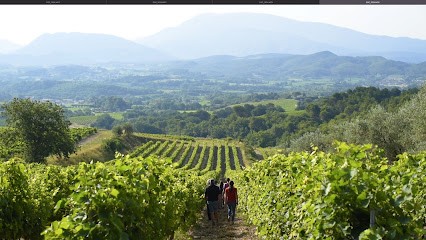 Union Of Winemakers Of Cotes Du Rhone, Vignoble à Tulette