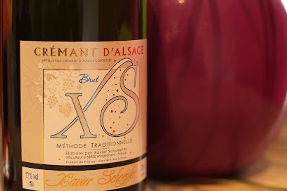 Xavier Schoepfer - Vins D'Alsace & Gîtes, Vignoble à Wintzenheim
