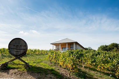 Vignoble Marchais - Le Chai De Thouaré Sur Loire, Vignoble à Thouaré-sur-Loire