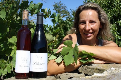 Vinéa Adrian, Vignoble à Arquettes-en-Val