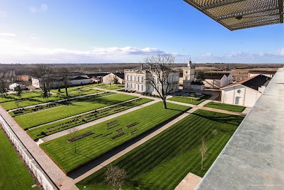Château Gruaud Larose, Vignoble à Saint-Julien-Beychevelle
