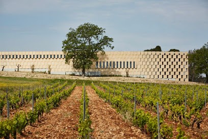 Domaines Ott * Saddle Chateau, Vignoble à Taradeau