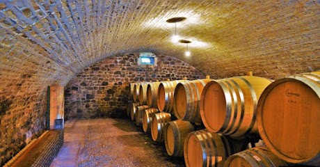 Domaine Le Guimbelot, Vignoble à Saint-Sornin