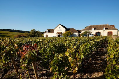 Collection Tramier, Vignoble à Mercurey