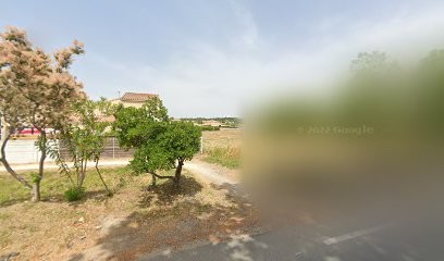 Cave Coopérative Les Vignerons Des Soubergues, Vignoble à Saint-Pargoire