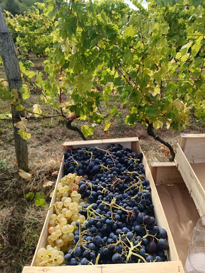 Vignoble De Perrussoit Vignoble à Layrac