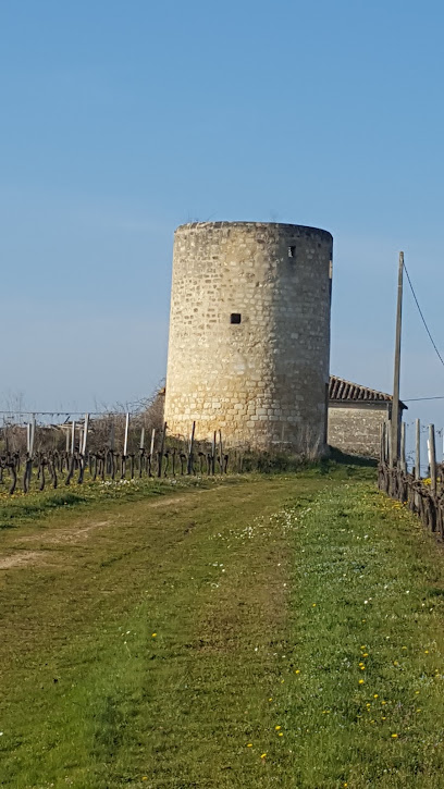 Vignobles Deliaune Vignoble à Saint-Ciers-de-Canesse