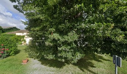Château Bellevue La Mongie, Vignoble à Génissac