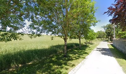 Le Maine De Treillis, Vignoble à Salles-d'Angles