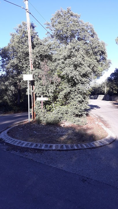 Domaine De La Crillonne, Vignoble à Saumane-de-Vaucluse