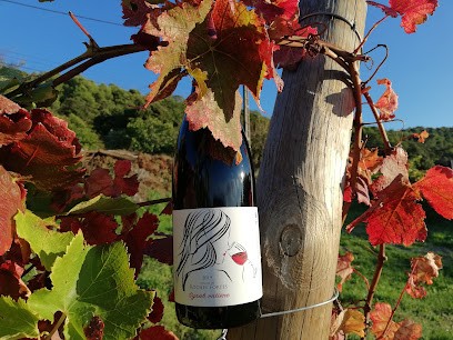 Domaine Des Roches Fortes, Vignoble à Vaison-la-Romaine