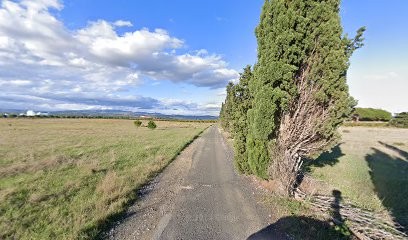 Domaine Du Maridet, Vignoble à Salses-le-Château