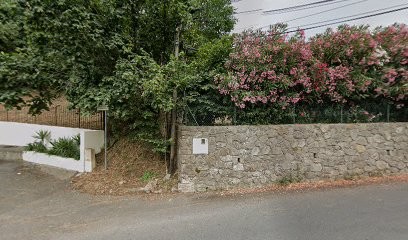 MHD Moët Hennessy Diageo, Vignoble à Vallauris